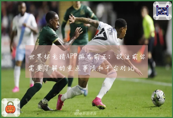 世界杯竞猜APP排名前五：投注前你需要了解的重点事项和平台对比