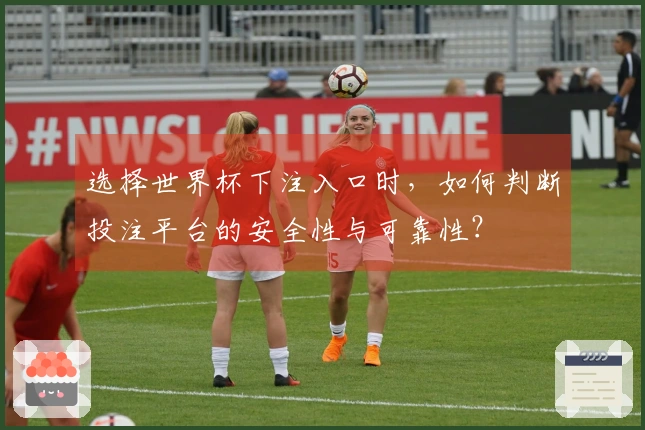选择世界杯下注入口时，如何判断投注平台的安全性与可靠性？