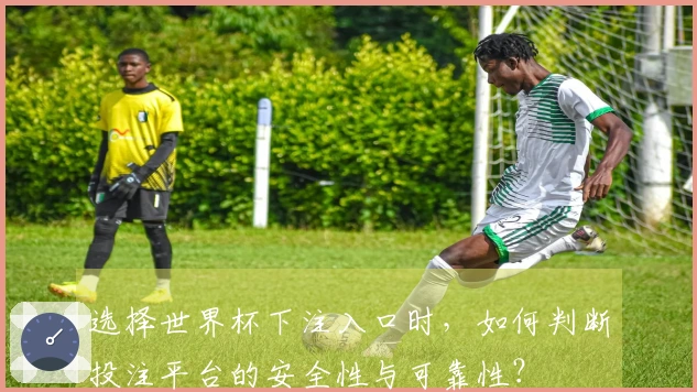选择世界杯下注入口时，如何判断投注平台的安全性与可靠性？