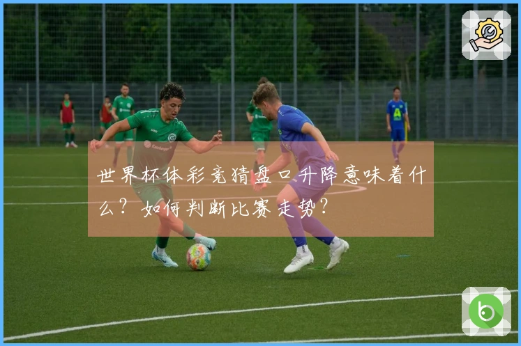 世界杯体彩竞猜盘口升降意味着什么？如何判断比赛走势？